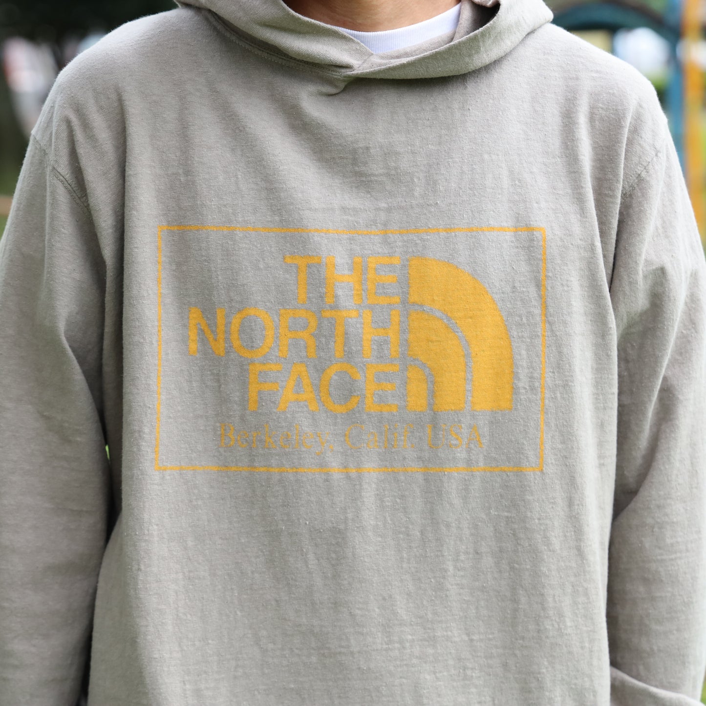 Field Graphic Hoodie - GRAY BEIGE