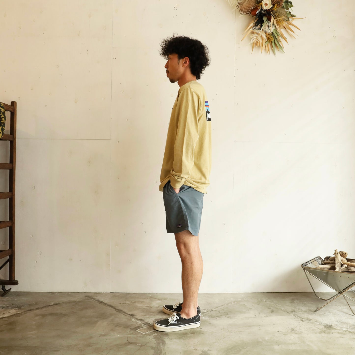 Men's Baggies™ Shorts - 5" - PLGY