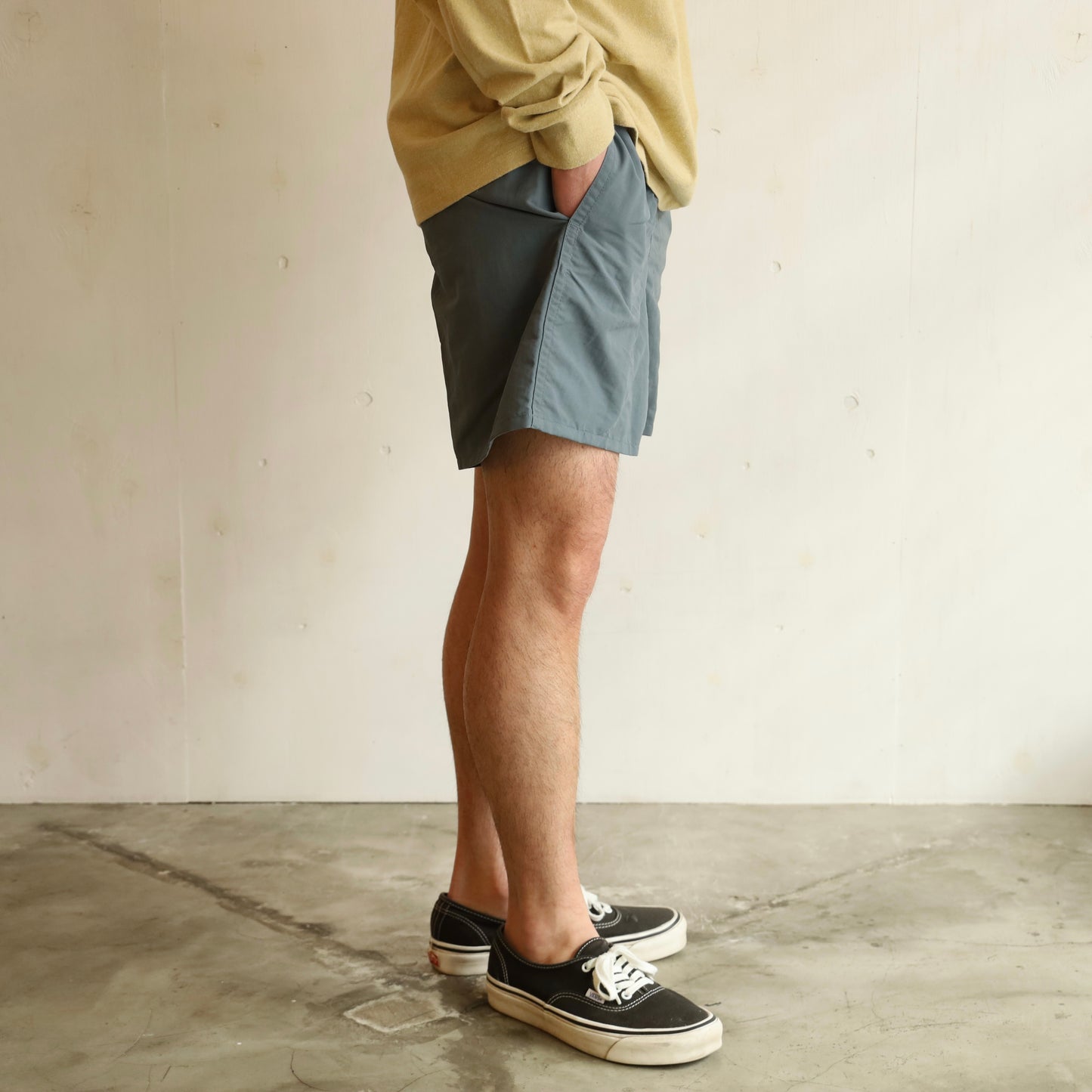Men's Baggies™ Shorts - 5" - PLGY